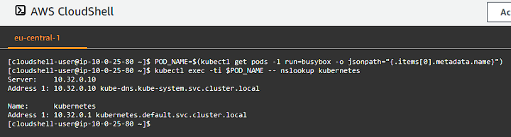 CloudShell BusyBox DNS Test