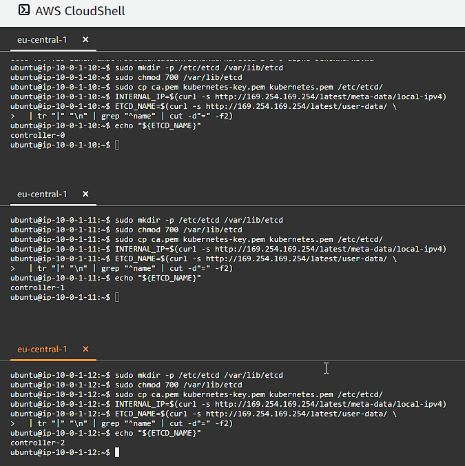 CloudShell Configure etcd Server