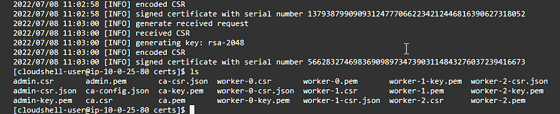 Cloud Shell Create Worker Certificates