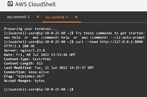 CloudShell cURL Port Forward NGINX Test