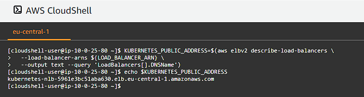 CloudShell export NLB DNS